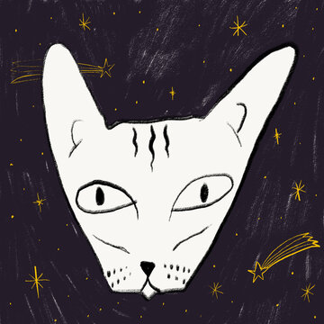Whimsical cat illustration on a starry background