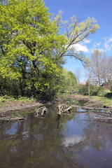 Rodau bei Laemmerspiel