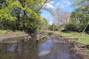 Rodau bei Laemmerspiel