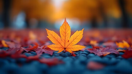 A Single Yellow Maple Leaf Resting on a Bed of Pebbles and Autumn Leaves