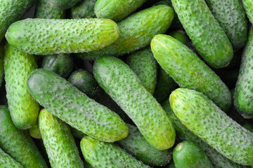 Fresh cucumbers at the market, top view. Organic vegetables, food background