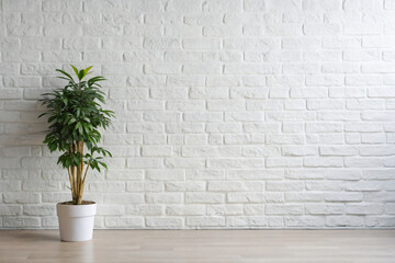 plant in a wallplant, wall, interior, home, pot, room, house, flower, tree, design, nature, architecture, plants, floor, decoration, garden, window, stone, indoor, wooden, flowerpot, flowers, frame, p