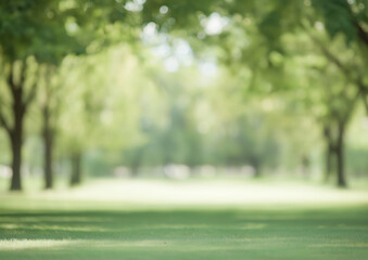 Beautiful Green Blurred Background of Nature