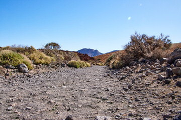 Teneriffa Reise. Auf dem Weg zum Teide