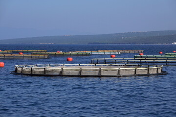 Fischzucht im Meer