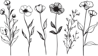 Set Flowers. Hand drawn vector illustration