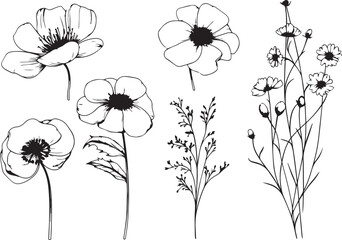 Set Flowers. Hand drawn vector illustration
