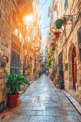 Fototapeta premium Narrow Stone Street with Plants and Shutters, European Town Architecture in Daytime Sun