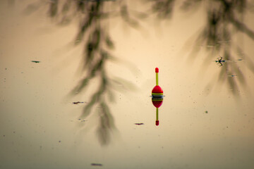 Fishing float on still water with reflected reeds © liam