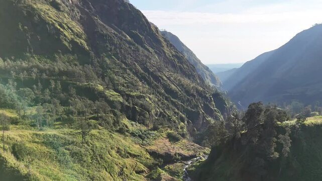 green forest at the foot of Mount Rinjani, there is a valley flowing through a river that originates from Lake Segara Anak. known as the Torean hiking trail