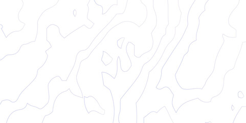 The black on white contours vector stylized height of the lines. The stylized height of the topographic contour in lines and contours. Abstract wavy and curved lines background.