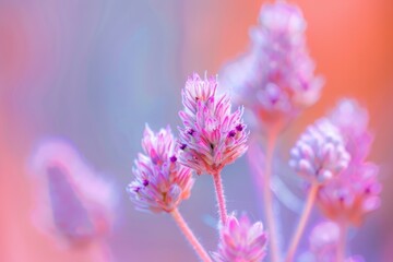 Fototapeta premium Macro of Dew-Covered Pink Flower with Bright Yellow Stamen