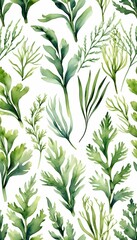 collection plant seaweed sea botanical green olated realistic illustrations grass painted hand fresh watercolor underwater white watercolor aquarelle art background botanical decoration design