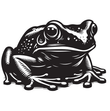 black and white frog sitting still clip art preview