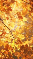 Maple tree leaves autumn leaf background.