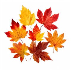 Leaves leaf background autumn.