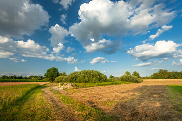 Obraz premium Mowed grass by the rural road and white clouds in the blue sky