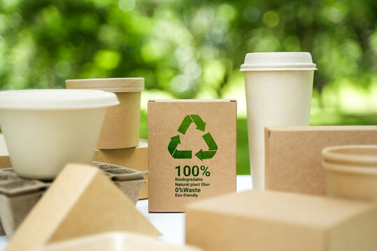 Environmentally friendly paper containers and packaging made from biodegradable materials, no waste and recycling concept. Green or disposable packaging.