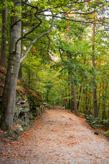 Fototapeta premium Hiking Trail through Saxon Switzerland National Park, or Nationalpark Sächsische Schweiz