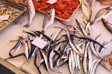 Atlantic saury fish in Catania market, Italy