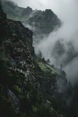 Misty Mountain Landscape with Green Foliage and Tall Pines