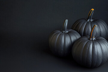 closeup three painted black pumpkins on black background with copy space, helloween template design