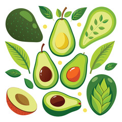 Avocado vector. Healthy vegan food illustration