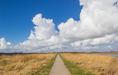 Walking path between two lakes at the Roegwold nature area in Groningen, Netherlands