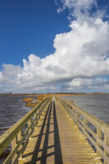 Wooden bridge over the lakes in Roegwold nature reserve in Groningen, Netherlands