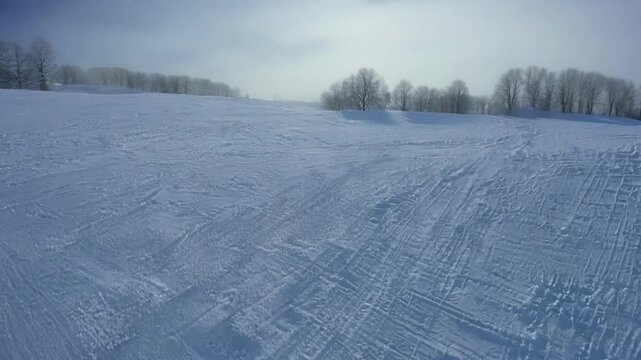 Serene winter scene with snow covered field, tire tracks, leafless trees, and cold blue sky evokes the essence of the frozen season