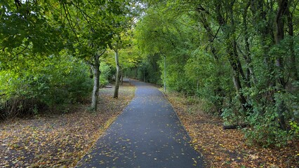 Walking Around Nature in a Cloudy Day