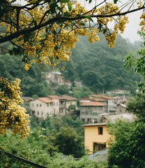 Yellow Flowers Blooming in Front of Houses on a Mountain