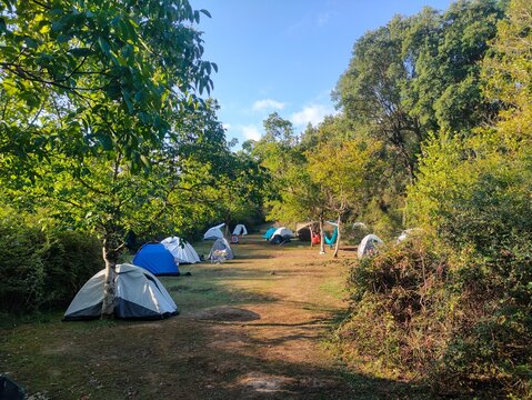 hiking and camping in the forest of Tighten. Ouled Attia. Collo. Skikda. Algeria
