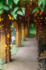Columns path at Le Jardin, lavender garden in Gramado, Serra Gaucha, Rio Grande do Sul, Brazil.