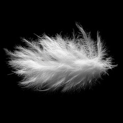 Obraz premium A white feathery object is floating in the air