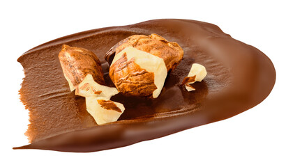 Chocolate Smear Isolated. Melted Chocolate spread on white background.  Chocolate Hazelnut Cream top view, flat lay .