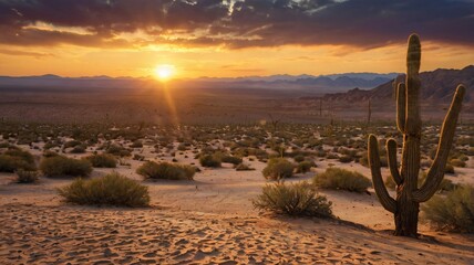 Sunset Desert Landscape. Sand and Cactus