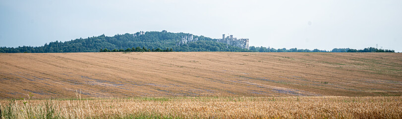 Widok na Zamek w Ogrodzieńcu © Yachevsky
