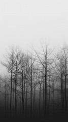 Fototapeta premium Minimalistic Elegance. Black and White High Definition Detailed Wallpaper Background