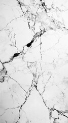 Obraz premium Minimalistic Elegance. Black and White High-Resolution HD Wallpaper Design