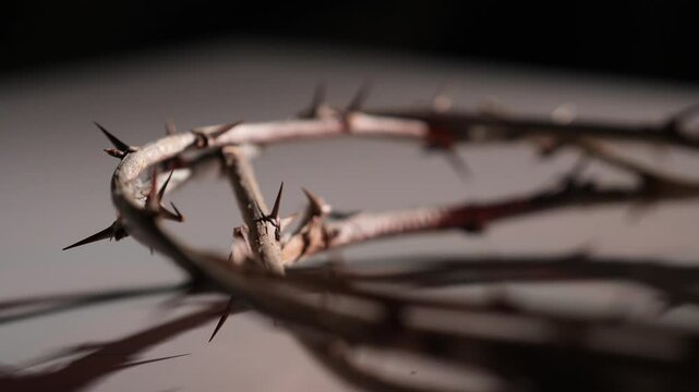 Crown of thorns casting shadow on white background