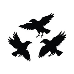 Obraz premium black silhouette of three crows. The crows are facing each other and appear to be in mid-flight. vector silhouette,