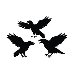 Fototapeta premium black silhouette of three crows. The crows are facing each other and appear to be in mid-flight. vector silhouette,