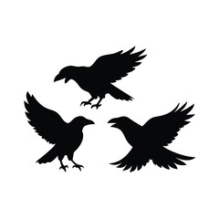 Obraz premium black silhouette of three crows. The crows are facing each other and appear to be in mid-flight. vector silhouette,
