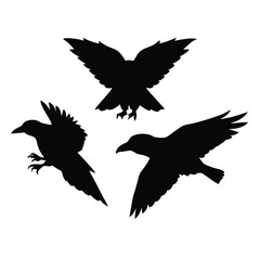 Obraz premium black silhouette of three crows. The crows are facing each other and appear to be in mid-flight. vector silhouette,