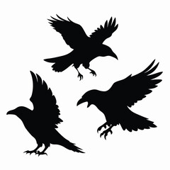 Obraz premium black silhouette of three crows. The crows are facing each other and appear to be in mid-flight. vector silhouette,