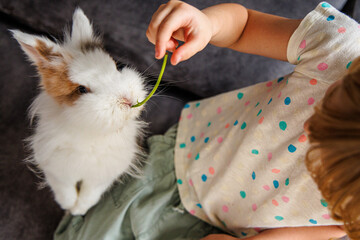 Child feeding a fluffy rabbit with a green bean in a cozy home setting