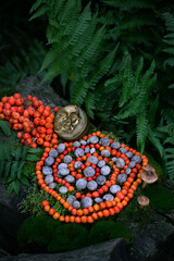 moon amulet and spiral made of snail shells and rowan berries in forest. Magic, Witchcraft,...