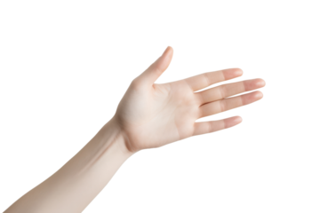 Detailed view of a hand with fingers gently curled in a relaxed position, set against a bright white background,