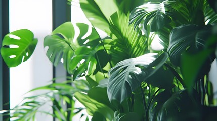 Lush Green Tropical Foliage Close Up